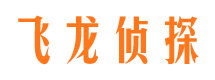 平原市婚姻调查